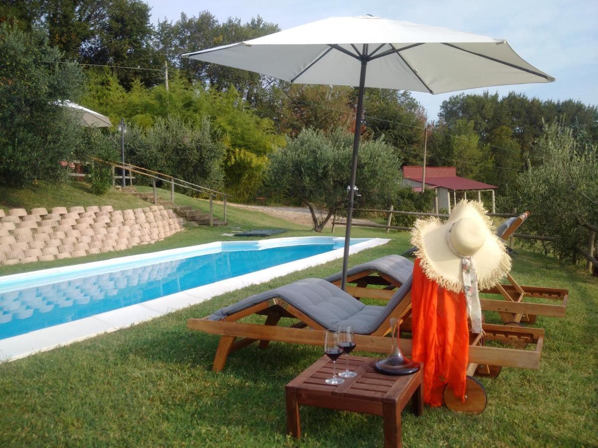 Villa Sant'Elena Morro d'Alba Bagian luar foto