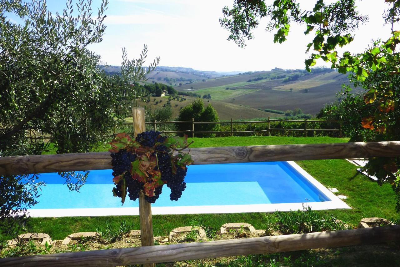 Villa Sant'Elena Morro d'Alba Bagian luar foto