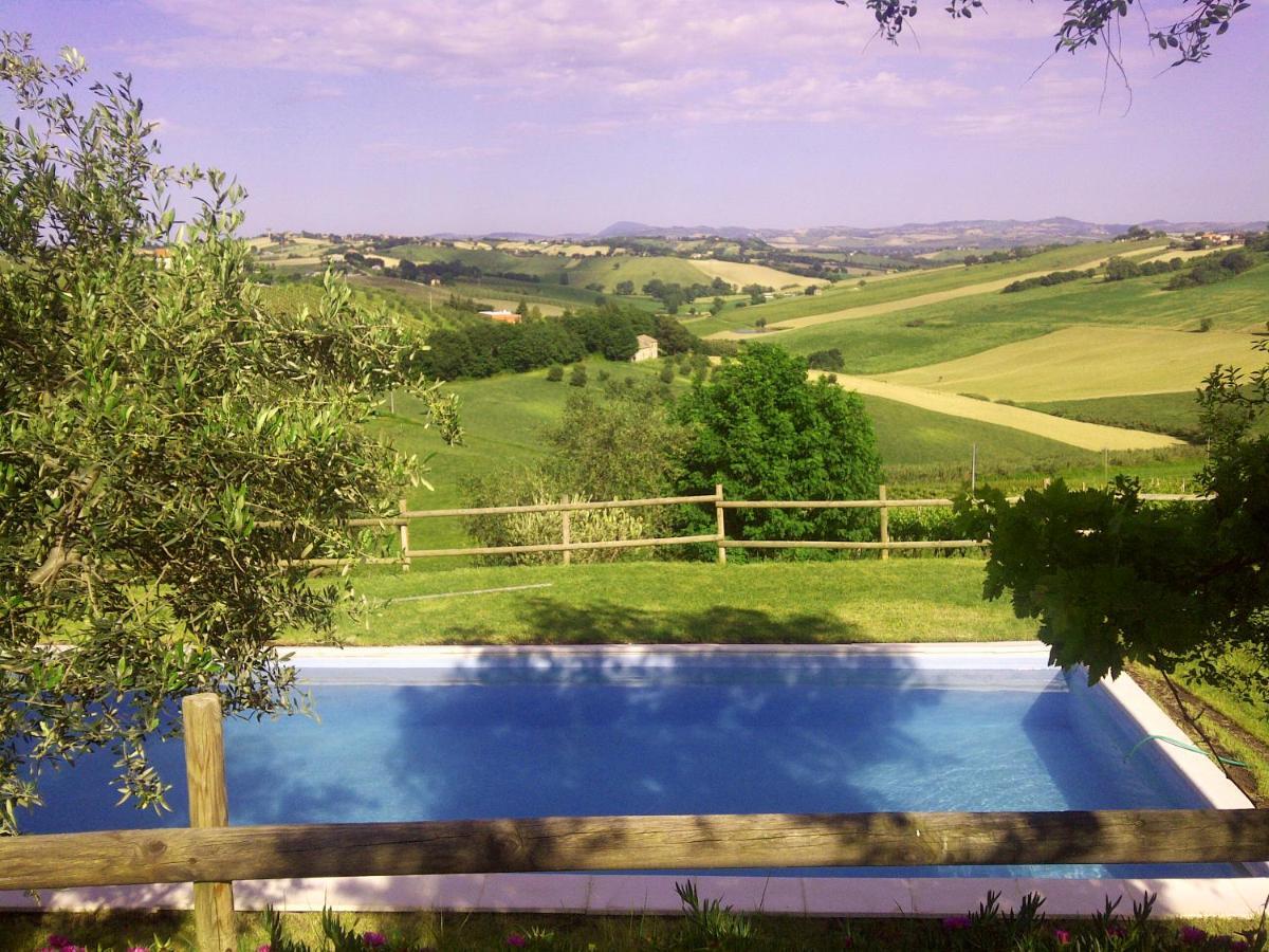 Villa Sant'Elena Morro d'Alba Bagian luar foto