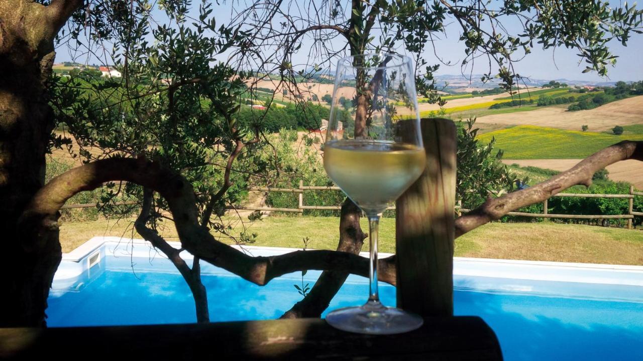 Villa Sant'Elena Morro d'Alba Bagian luar foto